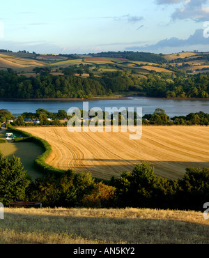 La lumière du soleil du soir au cours de la Teign Valley près de Teignmouth Devon du sud Banque D'Images