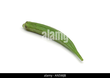 L'okra mesdames les doigts ou bindi sur fond blanc Banque D'Images