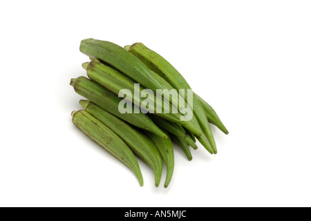 L'okra mesdames les doigts ou bindi sur fond blanc Banque D'Images