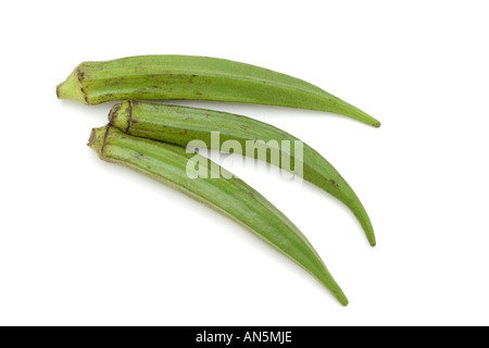 L'okra mesdames les doigts ou bindi sur fond blanc Banque D'Images