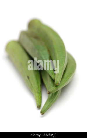 L'okra mesdames les doigts ou bindi sur fond blanc Banque D'Images