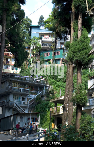 Immobilier à Darjeeling, Bengale occidental, Inde Banque D'Images