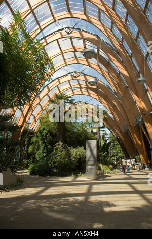 Sheffield, Angleterre les jardins d'hiver. Banque D'Images