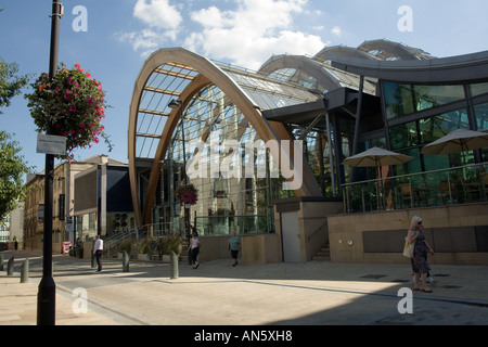 Sheffield, Angleterre les jardins d'hiver. Banque D'Images