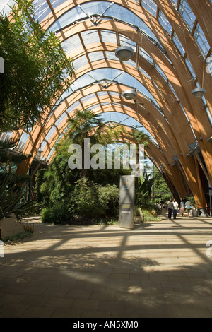 Sheffield, Angleterre les jardins d'hiver. Banque D'Images