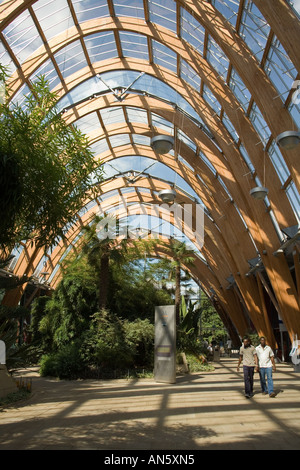 Sheffield, Angleterre les jardins d'hiver. Banque D'Images