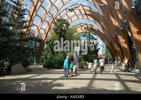 Sheffield, Angleterre les jardins d'hiver. Banque D'Images