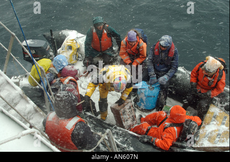 Les touristes qui visitent l'Antarctique s'élancer dans un bateau gonflable pour visiter l'Île du Diable, dans la mer de Weddell Banque D'Images