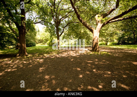 Strawberry Fields à Central Park, New York. Un jardin commémoratif à John Lennon Banque D'Images