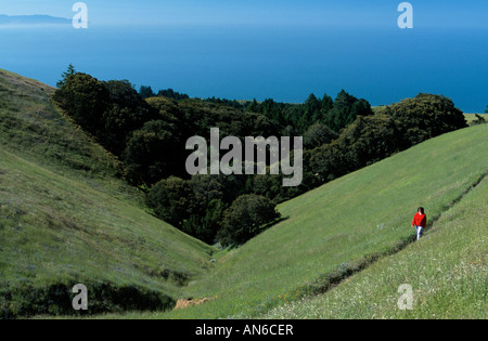 Randonneur sur Matt Davis Trail, le Mont Tamalpais State Park, Californie Banque D'Images