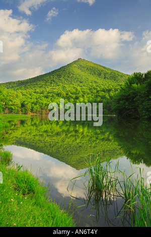 Peaks of Otter, Blue Ridge Parkway, Virginia, USA Banque D'Images