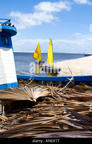 Bateaux, voile jaune plage Caburé, Maranhao, Brésil Banque D'Images