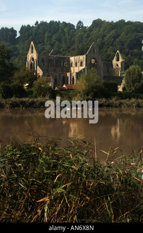 Une Abbaye de Tintern misty sur la rive de la rivière Wye à Tintern, Monmouthshire, dans le sud du Pays de Galles, Royaume-Uni. Banque D'Images