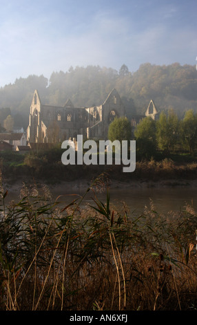 Une Abbaye de Tintern misty sur la rive de la rivière Wye à Tintern, Monmouthshire, dans le sud du Pays de Galles, Royaume-Uni. Banque D'Images