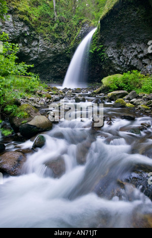 La région de Oneonta Falls à Columbia River Gorge Banque D'Images