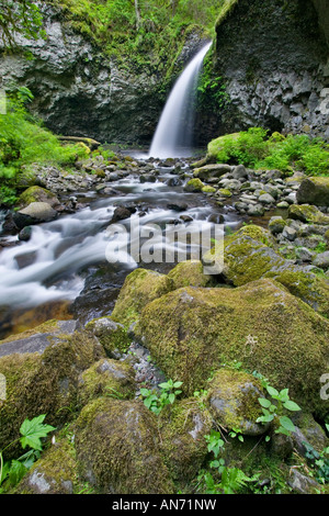 La région de Oneonta Falls à Columbia River Gorge Banque D'Images