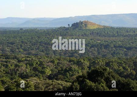 Vue sur forêt de Kakamega np Banque D'Images