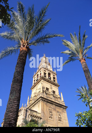Clocher de cathédrale Mezquita Grande Mosquée vu à travers palmiers Cordoba Andalousie Espagne Banque D'Images