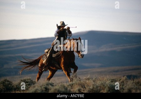 Carabine de Cowboy visant l'Wyoming USA Banque D'Images