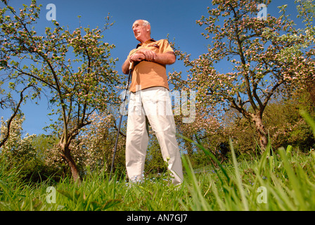 Un homme à la retraite dans un verger COMMUNAUTAIRE GLOUCESTERSHIRE ENGLAND UK DE POMMIERS en fleur pleine Banque D'Images