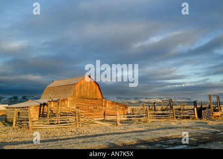 Tôt le matin d'or de la lumière sur une vieille grange Moulton sur Mormon Row dans le Grand Teton National Park