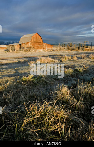 Tôt le matin d'or de la lumière sur une vieille grange Moulton sur Mormon Row dans le Grand Teton National Park