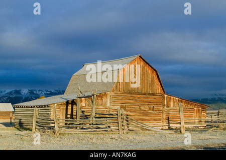 Tôt le matin d'or de la lumière sur une vieille grange Moulton sur Mormon Row dans le Grand Teton National Park