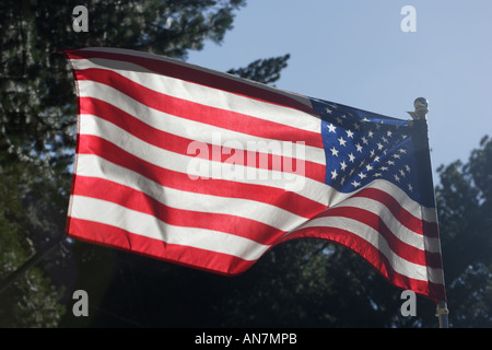 United States of America flag Stars and Stripes Banque D'Images