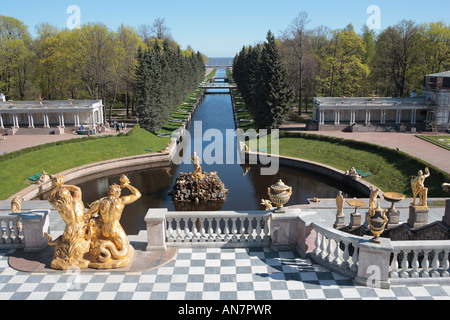 Grande cascade Vue depuis la terrasse du Palais Peterhof, près de Saint-Pétersbourg, Russie Banque D'Images