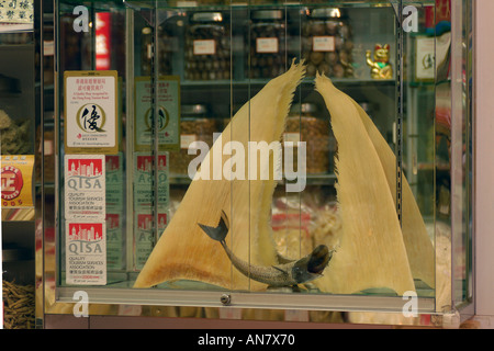 Les ailerons de requin séchés à vendre dans la médecine traditionnelle chinoise store Hong Kong Chine Banque D'Images