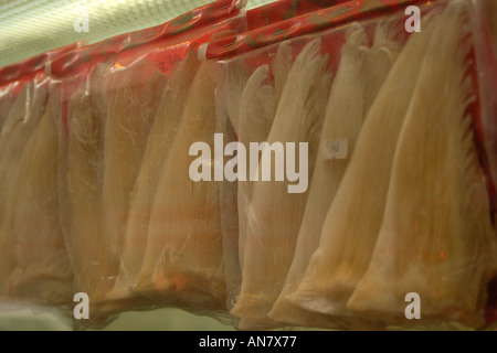 Les ailerons de requin séchés à vendre dans la médecine traditionnelle chinoise store Hong Kong Chine Banque D'Images