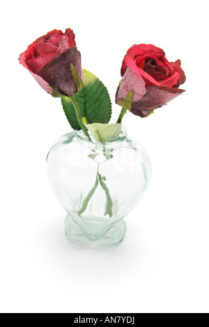 Roses rouges dans un vase sur fond blanc Banque D'Images