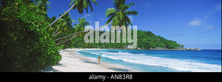 Woman walking along sandy shore à Anse Takamaka Beach sur l'île de Mahé aux Seychelles Banque D'Images