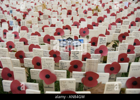 Rangées de croix de bois de coquelicots disposés sur la pelouse en face de l'abbaye de Westminster, Londres, Royaume-Uni. Banque D'Images