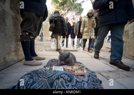 Lisbonne Portugal Chat à signer dans de nombreuses langues pour remercier les visiteurs Castelo de Sao Jorge St George s Castle un fortific wisigoth Banque D'Images