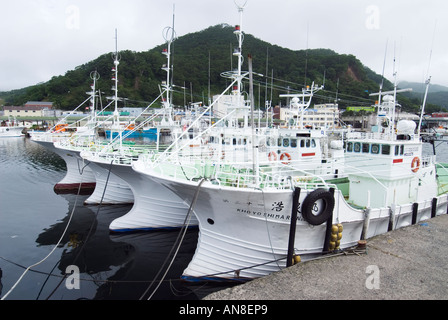 Bateaux de pêche au port de Rausu à côté du Parc National de Shiretoko Hokkaïdo Japon Banque D'Images