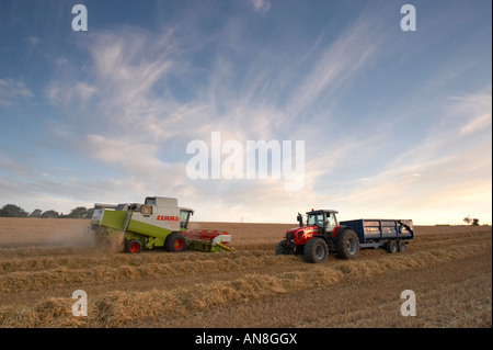 Moissonneuse-batteuse et le tracteur avec remorque dans la région de barley field Banque D'Images