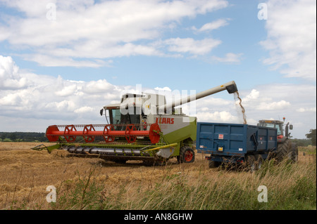 L'exercice de moissonneuse-batteuse en grain trailer Banque D'Images