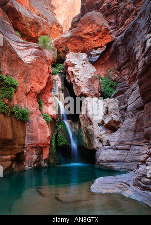 Gouffre des elfes cascade dans l'intérieur du Grand Canyon Banque D'Images