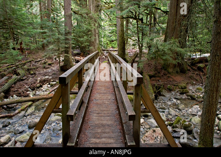 Dans l'arrière-pays Bridge Banque D'Images