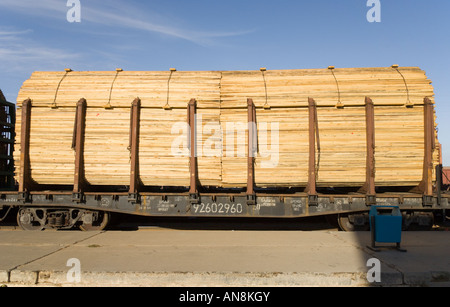 La Mongolie Zamyn Uud gare wagon chargé avec le bois Banque D'Images