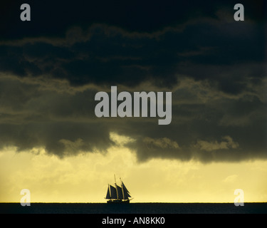 USA - HAWAÏ : voile sur Waikiki Banque D'Images