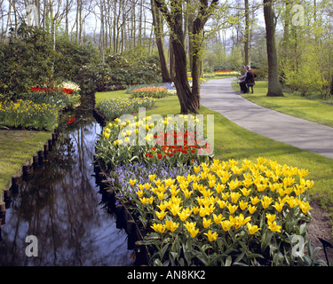 NL - HOLLANDE-DU-SUD : les jardins de Keukenhof Banque D'Images