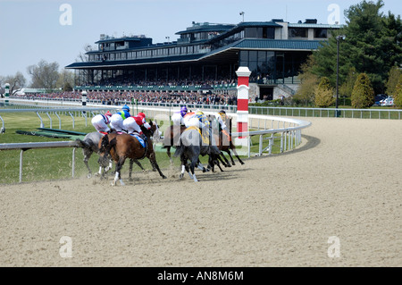 Courses de chevaux pur-sang à la voie dans le Kentucky Lexington Keeneland USA Banque D'Images