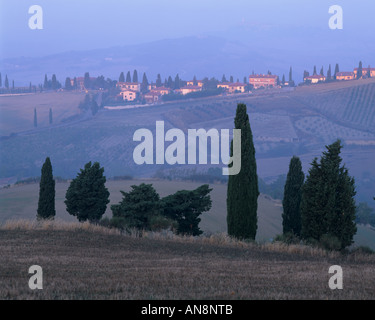 Lumière du matin en Toscane Banque D'Images