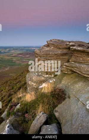 Colombe de rocher de l'Simonside Hills près de Rothbury dans Parc National de Northumberland, Angleterre Banque D'Images