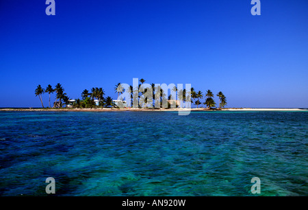 Ranguana Caye Belize Banque D'Images