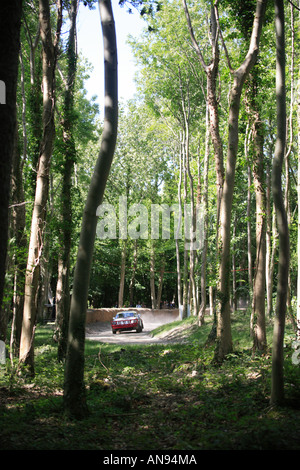 Goodwood FOS 2006 motor racing legend auto voiture de course de vitesse historique festival Porsche 911 Carrera 1977 3 litre driver Davi Banque D'Images