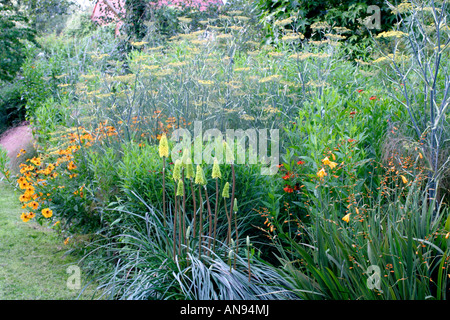 La frontière chaude à Holbrook, Devon Le jardin pendant les mois d'août avec Kniphofia, fenouil Bronze et Heleniums Banque D'Images