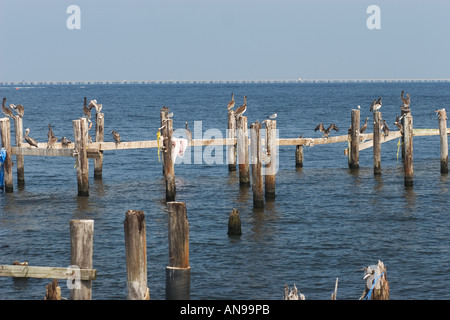 Les pieds d'un ancien restaurant du bord du lac à la Nouvelle Orléans, un an après l'ouragan Katrina. Banque D'Images